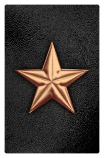 DF35T 430 CP BK Star Copper Black